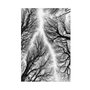 Mijölnir Juego de alfombrillas de baño Kt449 Multicolor